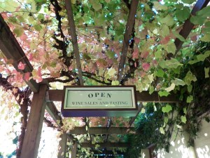 Cellar Door Open